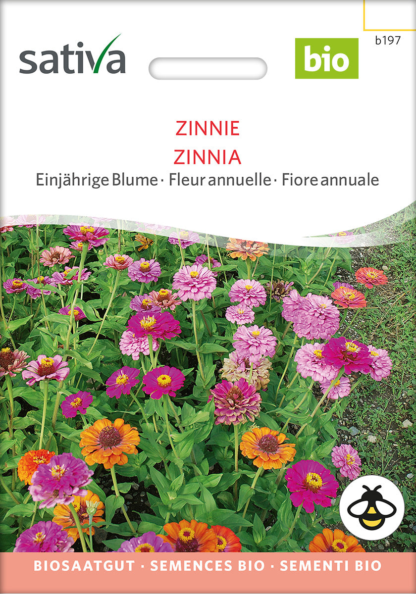 Blume Zinnie Biosaatgut Verpackung Vorderseite