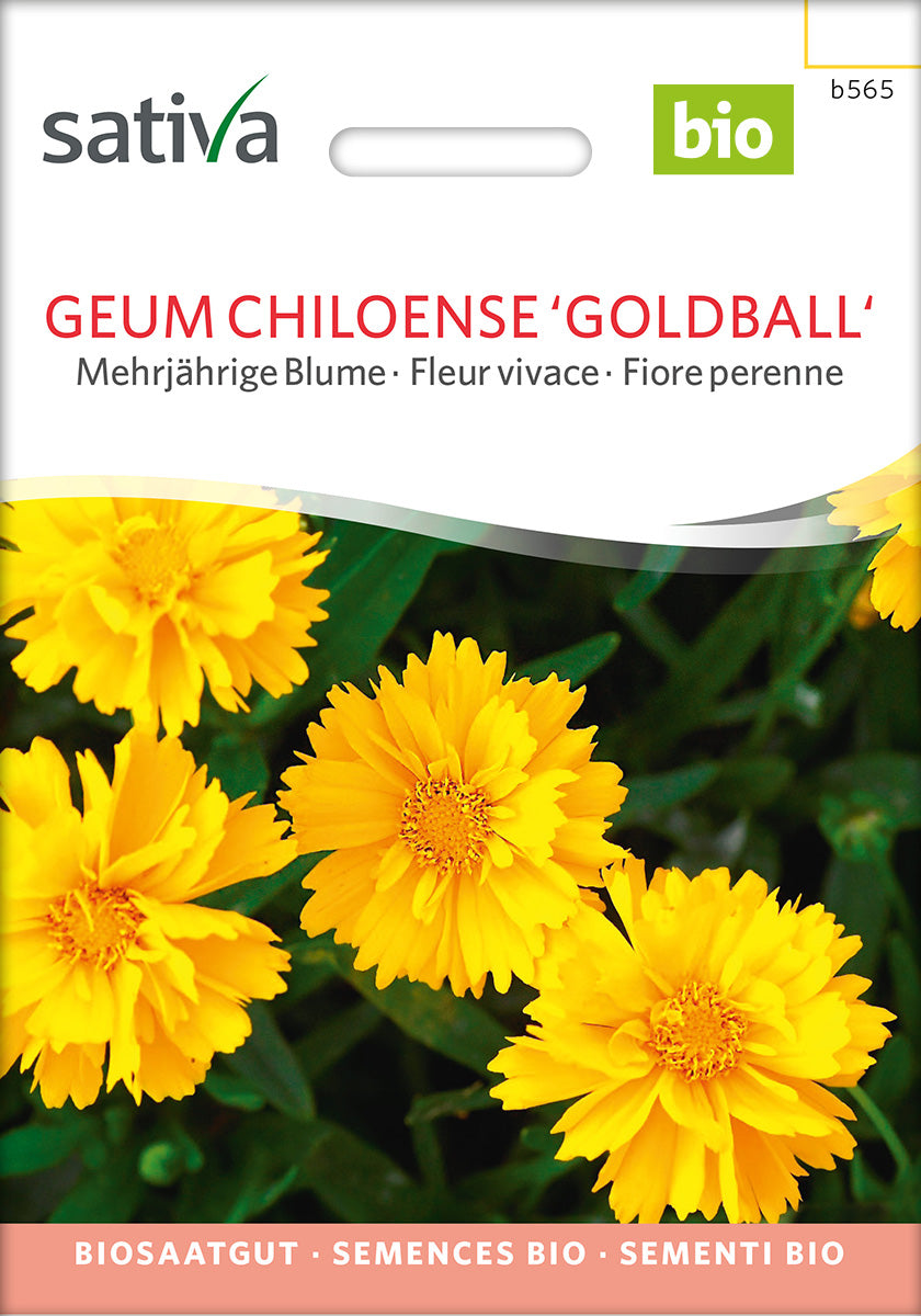 Geum Chiloense Goldball Biosaatgut Verpackung Vorderseite