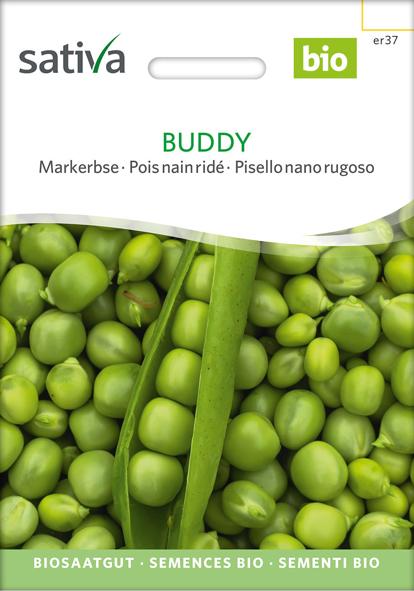 Markerbse Buddy Biosaatgut Verpackung Vorderseite