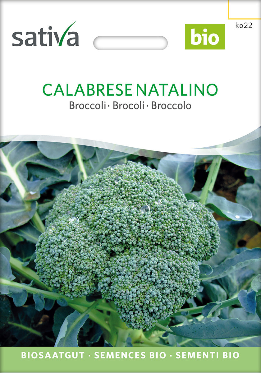 Broccoli Calabrese Natalino Bisoaatgut Verpackung Vorderseite