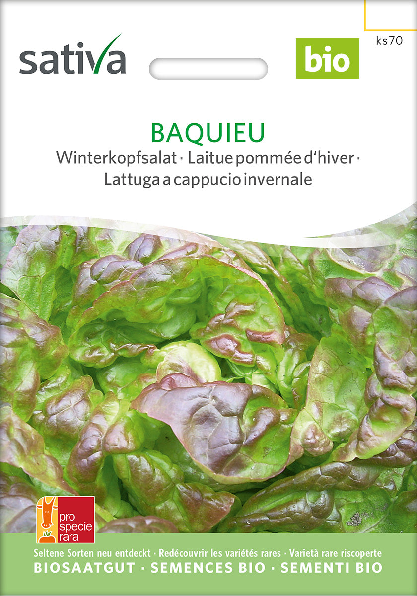 Winterkopfsalat Baquieu Biosaatgut Verpackung Vorderseite