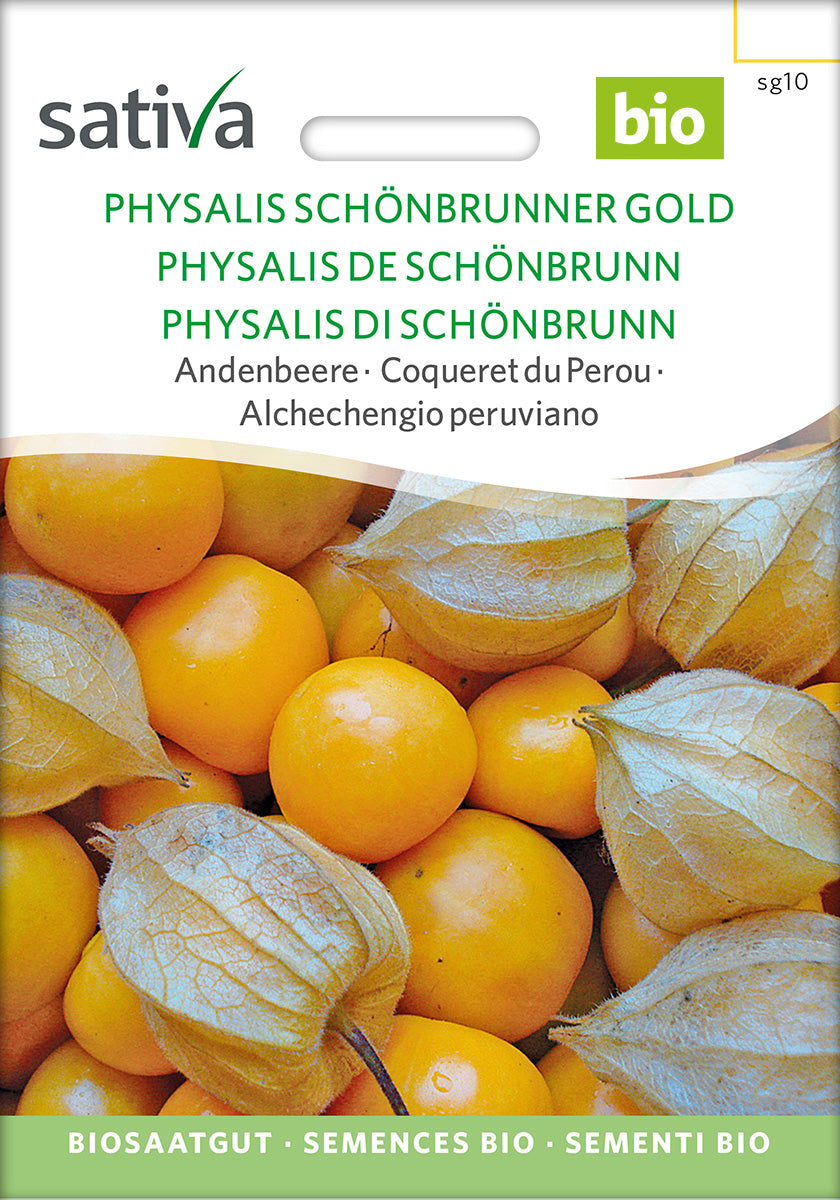 Physalis Schönbrunnen Gold Biosaatgut Verpackung Vorderseite