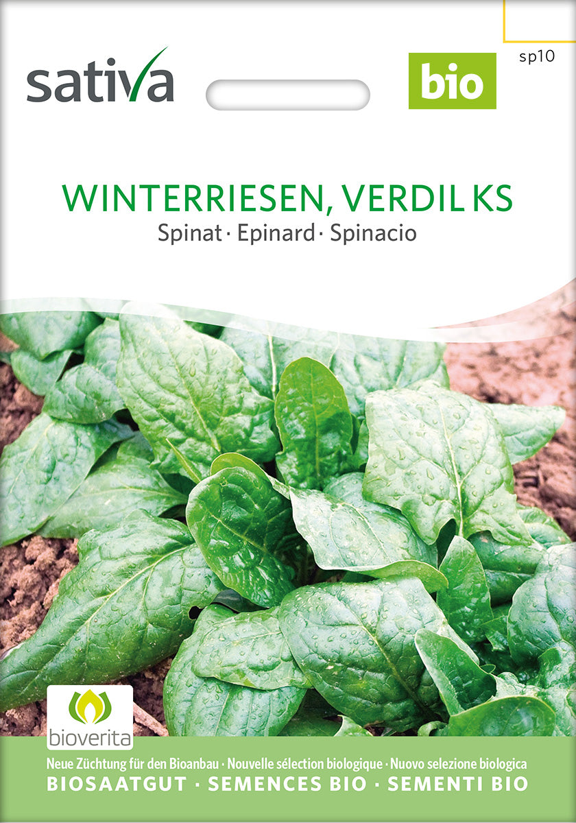 Spinat Winterriese Biosaatgut Verpackung Vorderseite